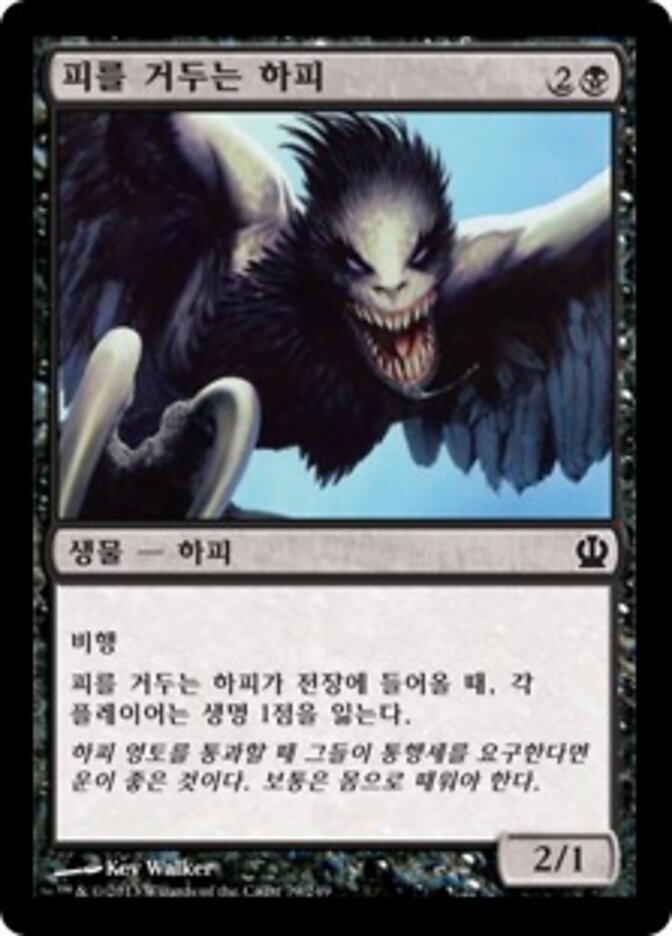 피를 거두는 하피