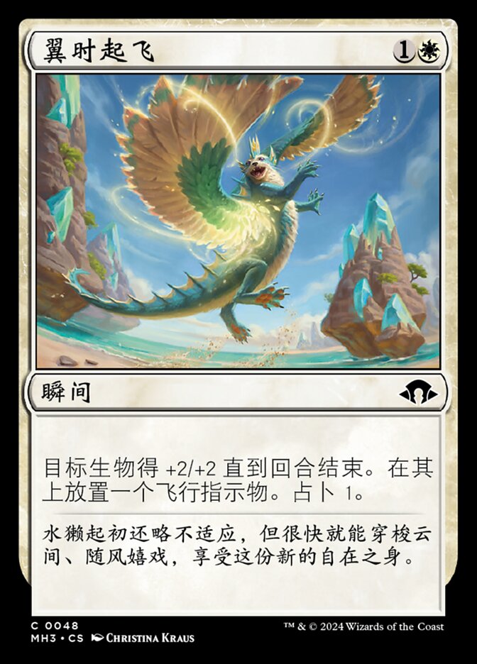 翼时起飞