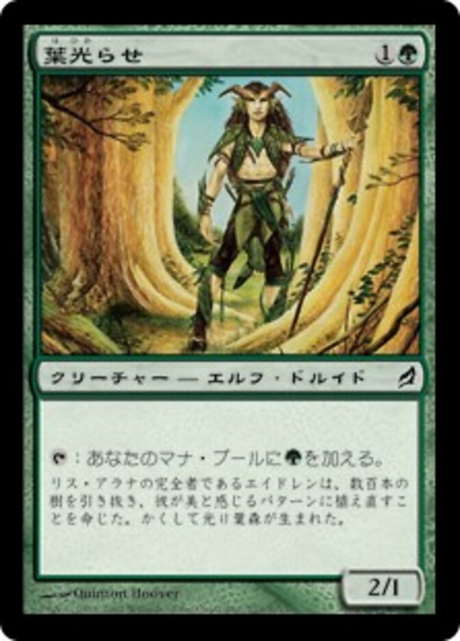 葉光らせ