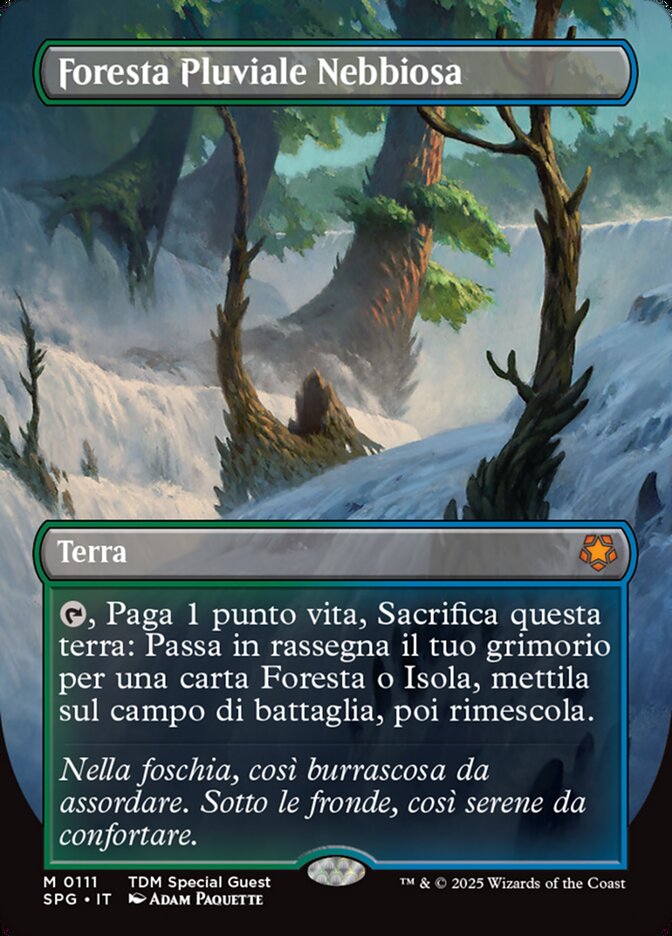 Foresta Pluviale Nebbiosa