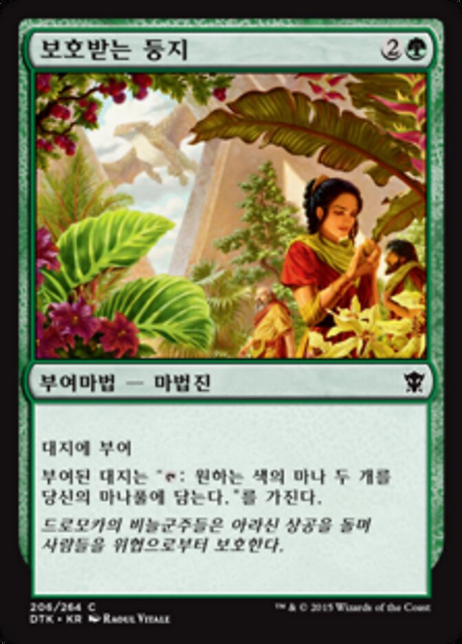 보호받는 둥지
