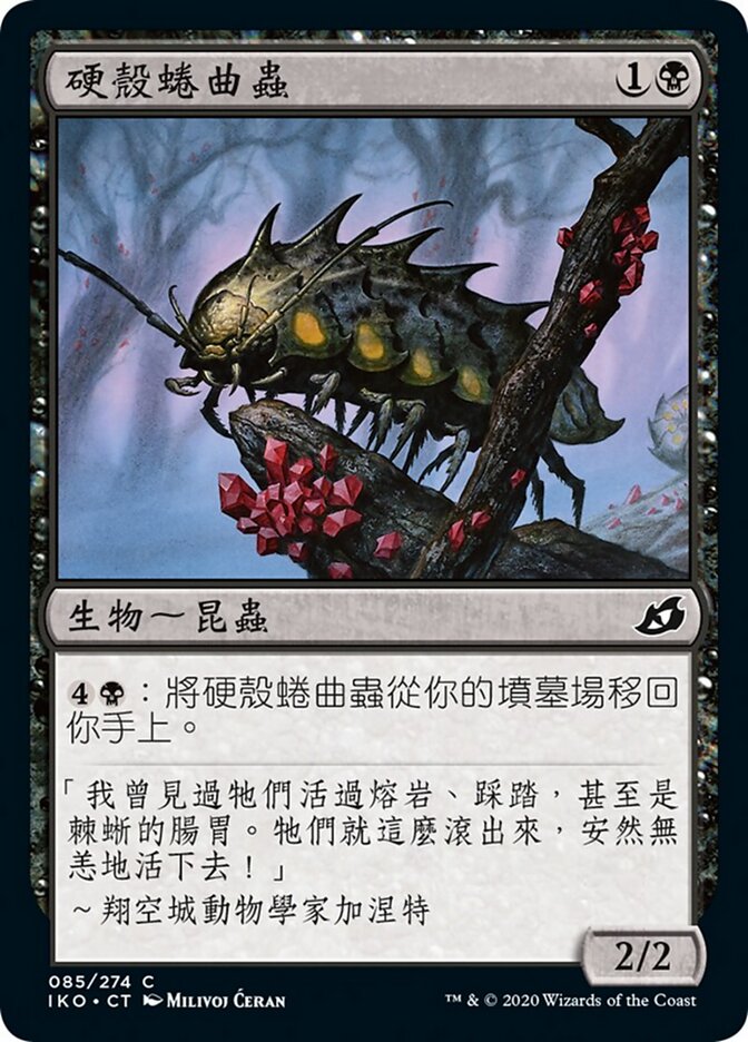 硬殼蜷曲蟲