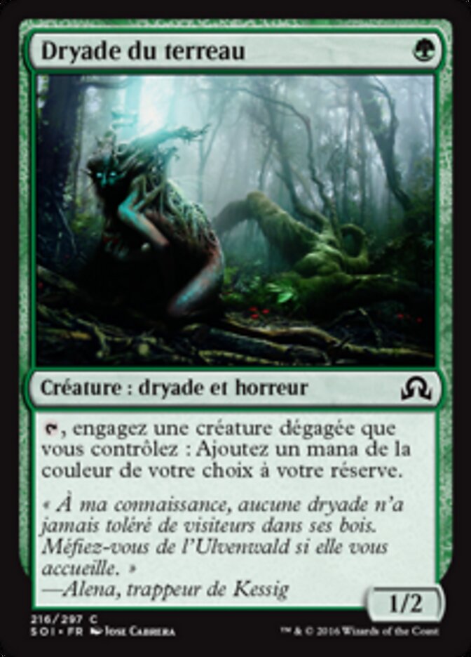 Dryade du terreau