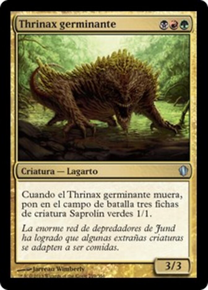 Thrinax germinante