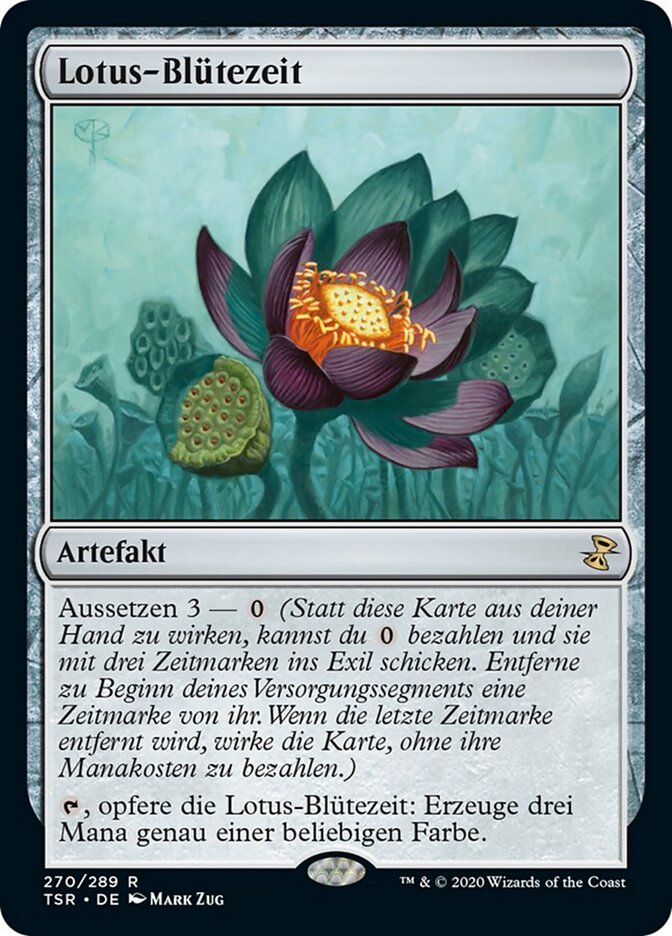 Lotus-Blütezeit