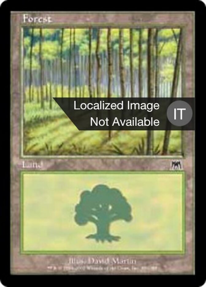 Foresta