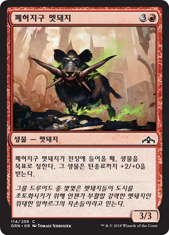 폐허지구 멧돼지