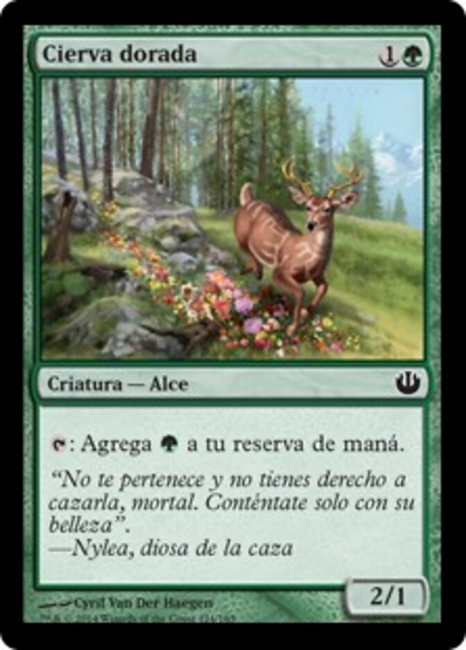 Cierva dorada