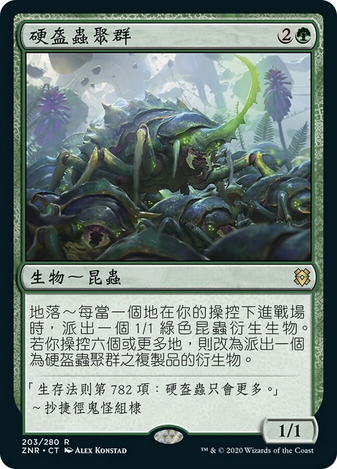 硬盔蟲聚群
