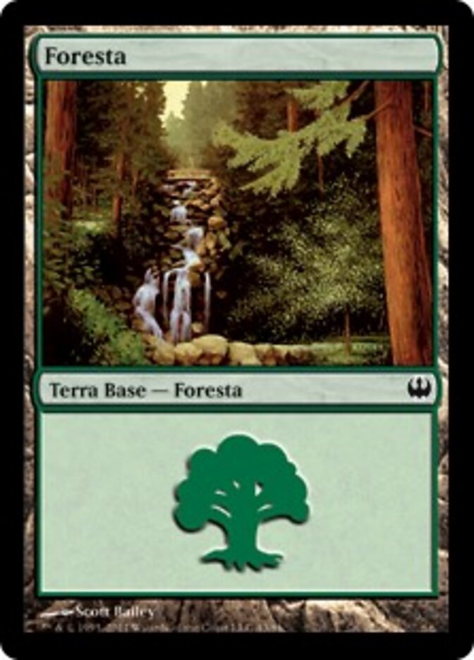 Foresta