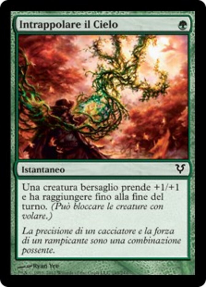 Intrappolare il Cielo
