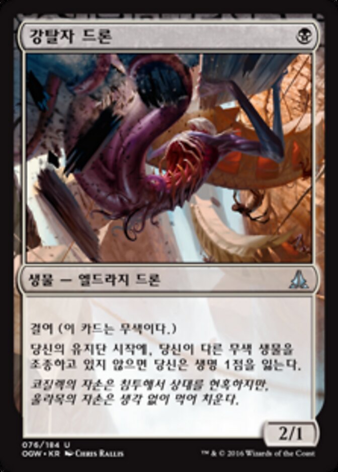 강탈자 드론