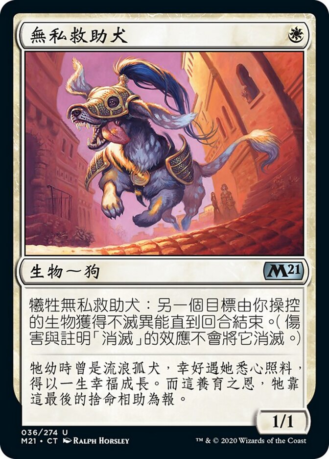 無私救助犬