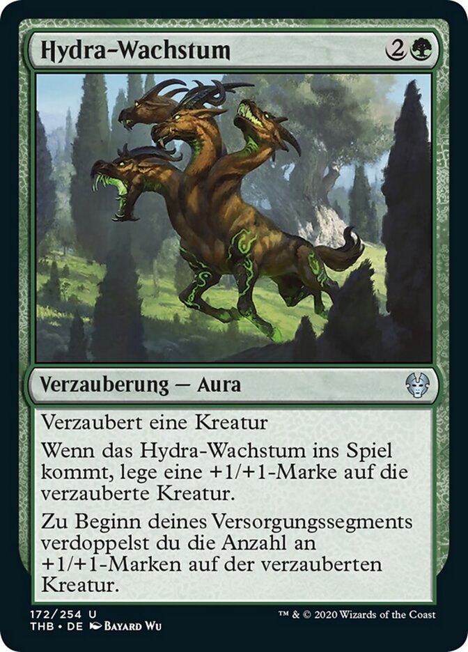 Hydra-Wachstum