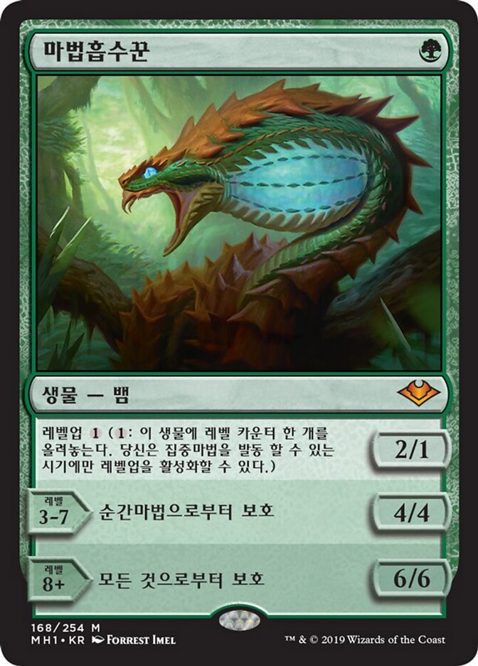 마법흡수꾼