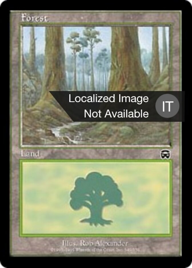 Foresta