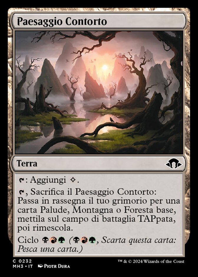 Paesaggio Contorto