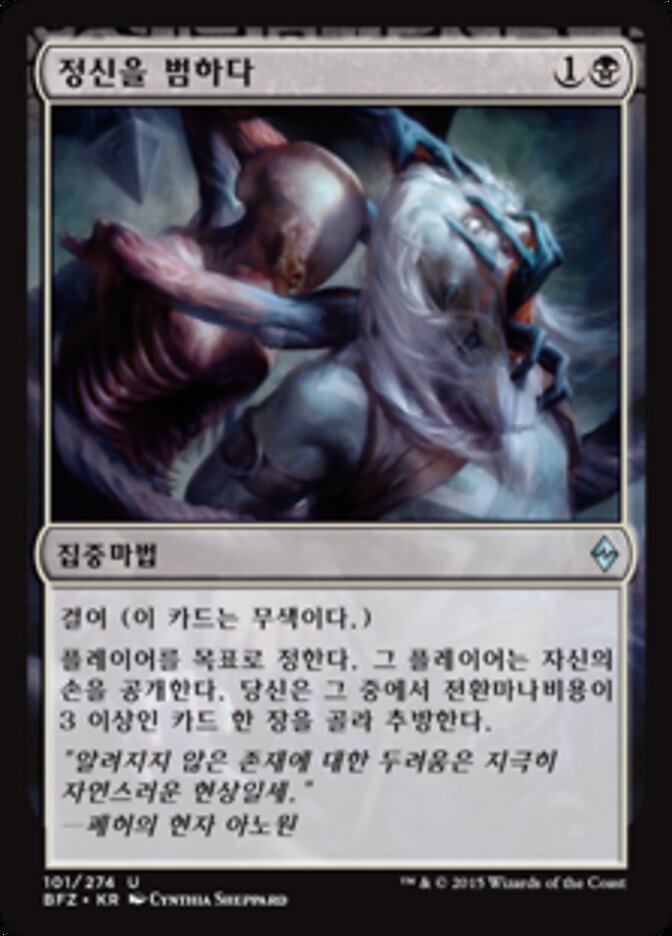 정신을 범하다