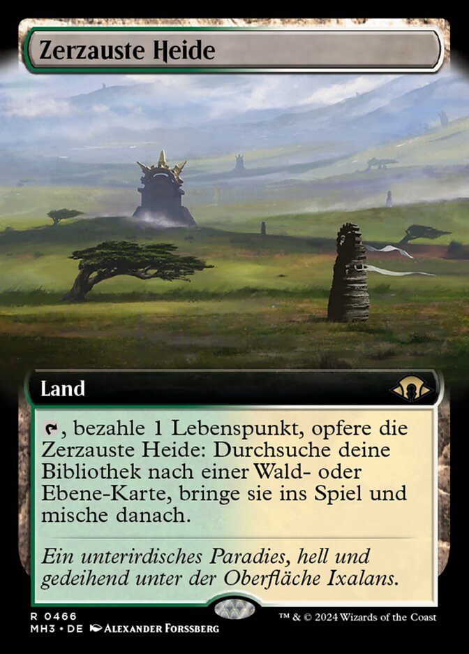 Zerzauste Heide