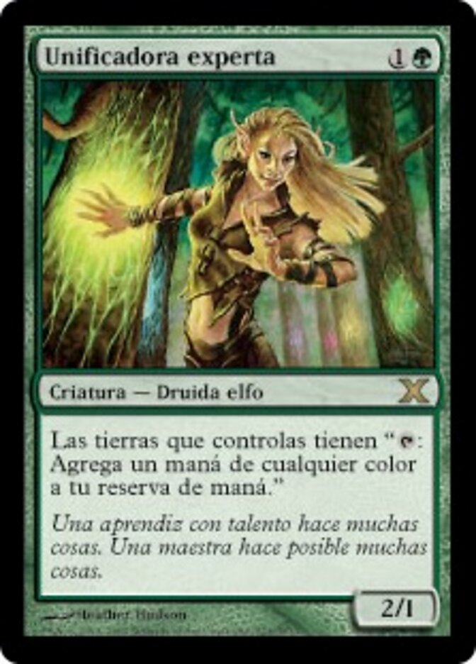 Unificadora experta