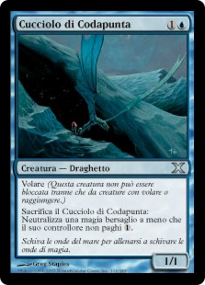 Cucciolo di Codapunta