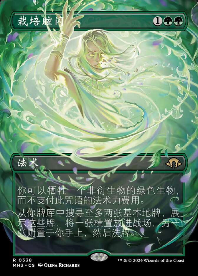 栽培眩闪