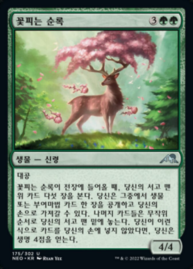 꽃피는 순록
