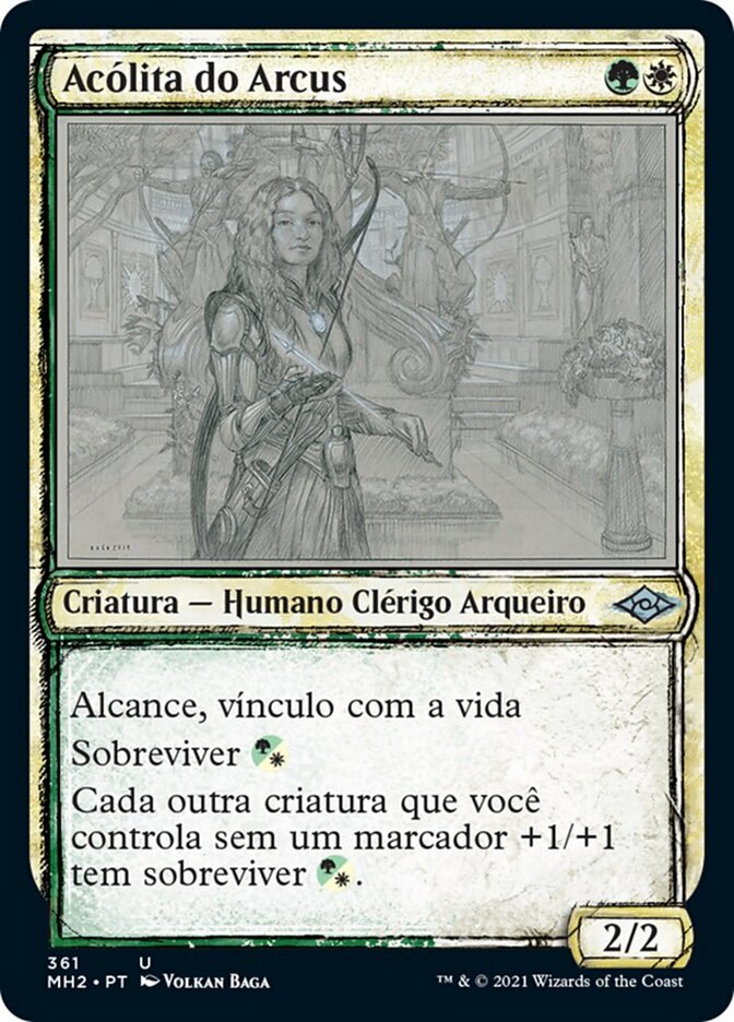 Acólita do Arcus