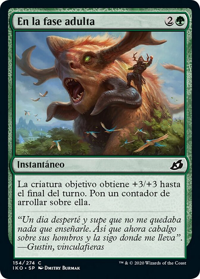 En la fase adulta