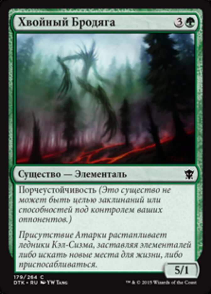 Хвойный Бродяга