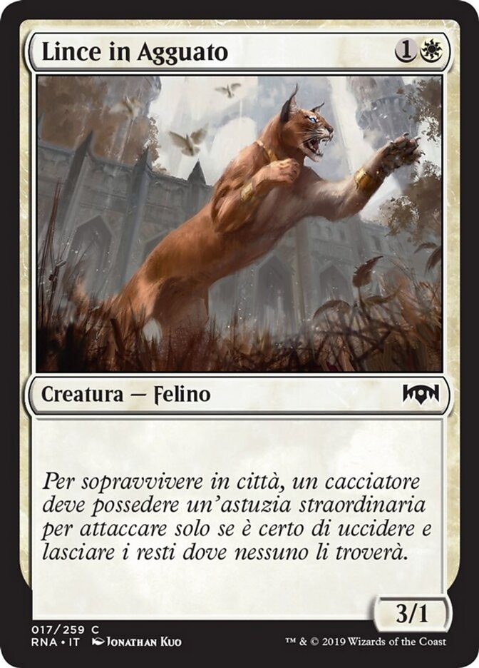 Lince in Agguato