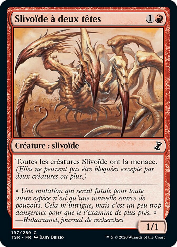 Slivoïde à deux têtes