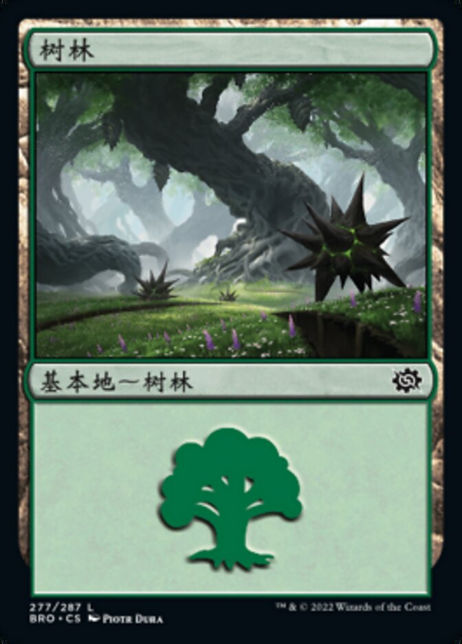 树林