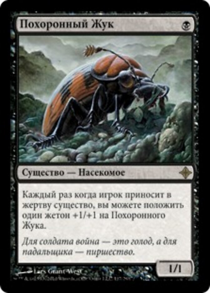 Похоронный Жук