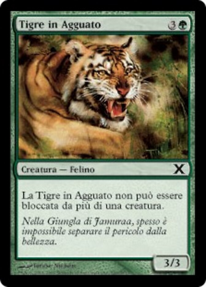 Tigre in Agguato