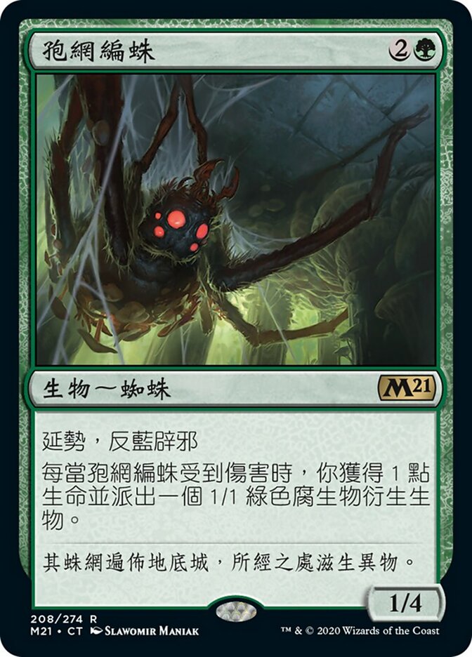 孢網編蛛