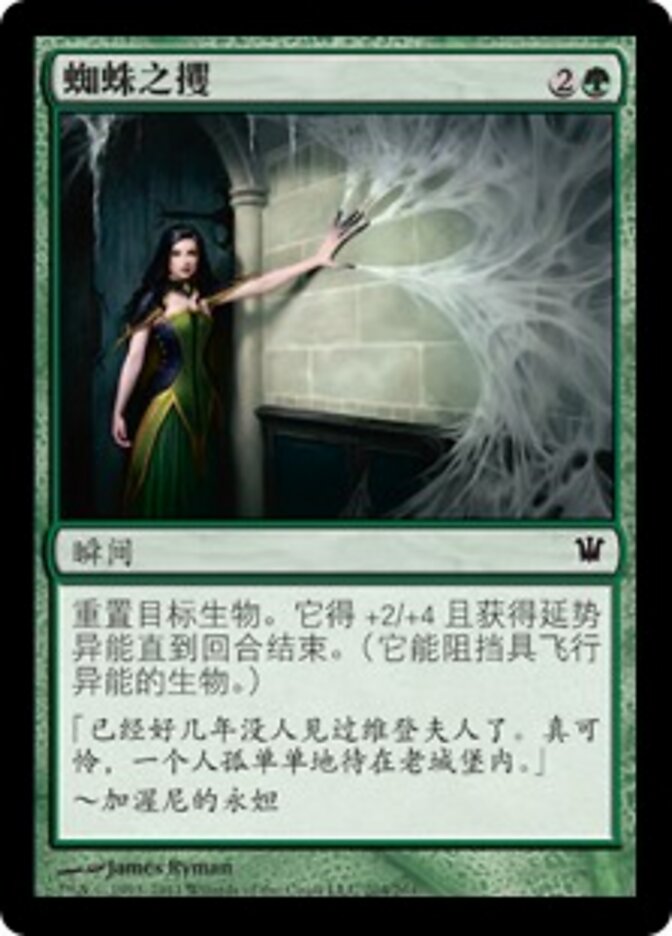 蜘蛛之攫