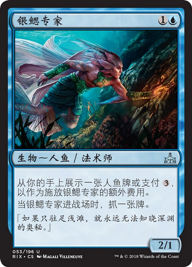 银鳃专家