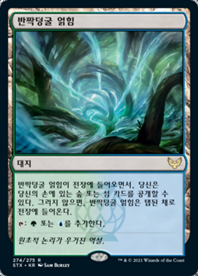 반짝덩굴 얽힘