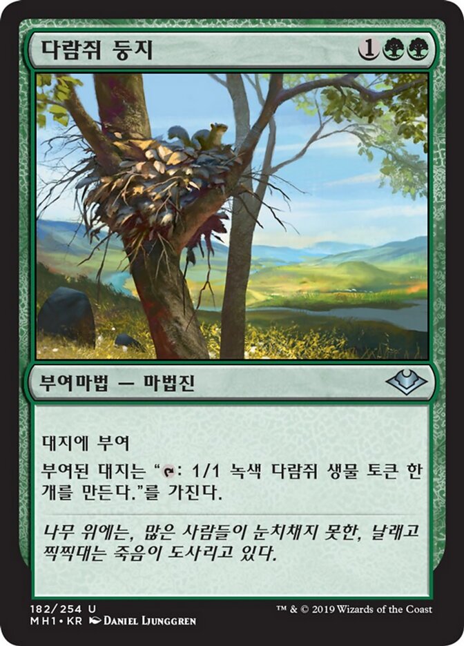 다람쥐 둥지
