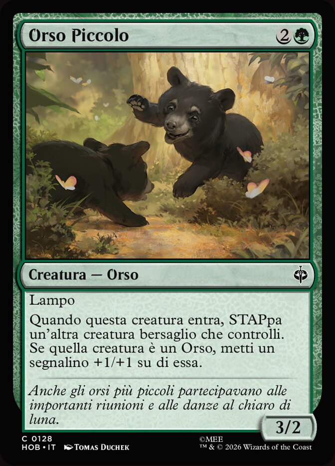Orso Piccolo