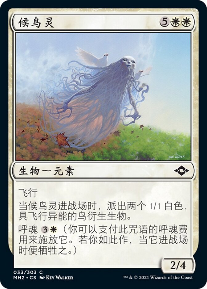候鸟灵