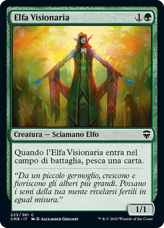 Elfa Visionaria