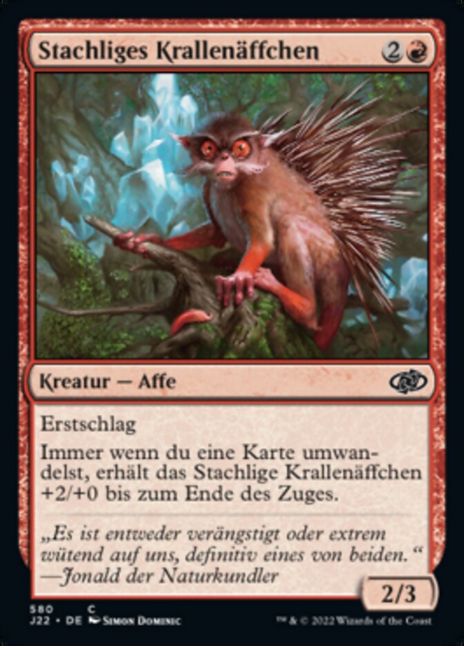 Stachliges Krallenäffchen