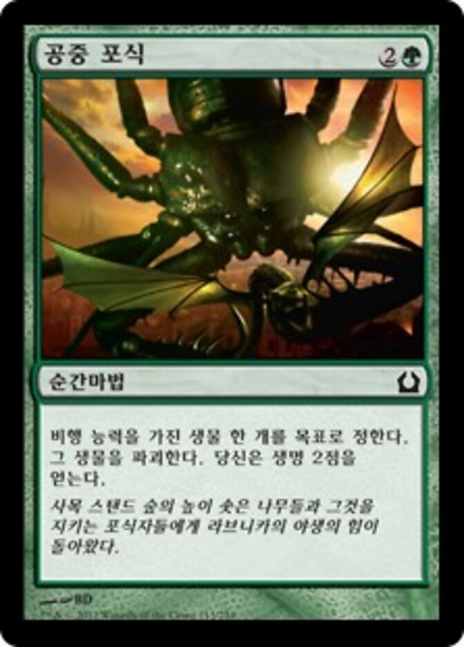 공중 포식