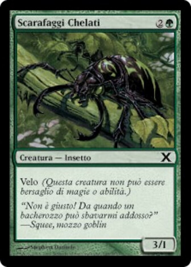Scarafaggi Chelati