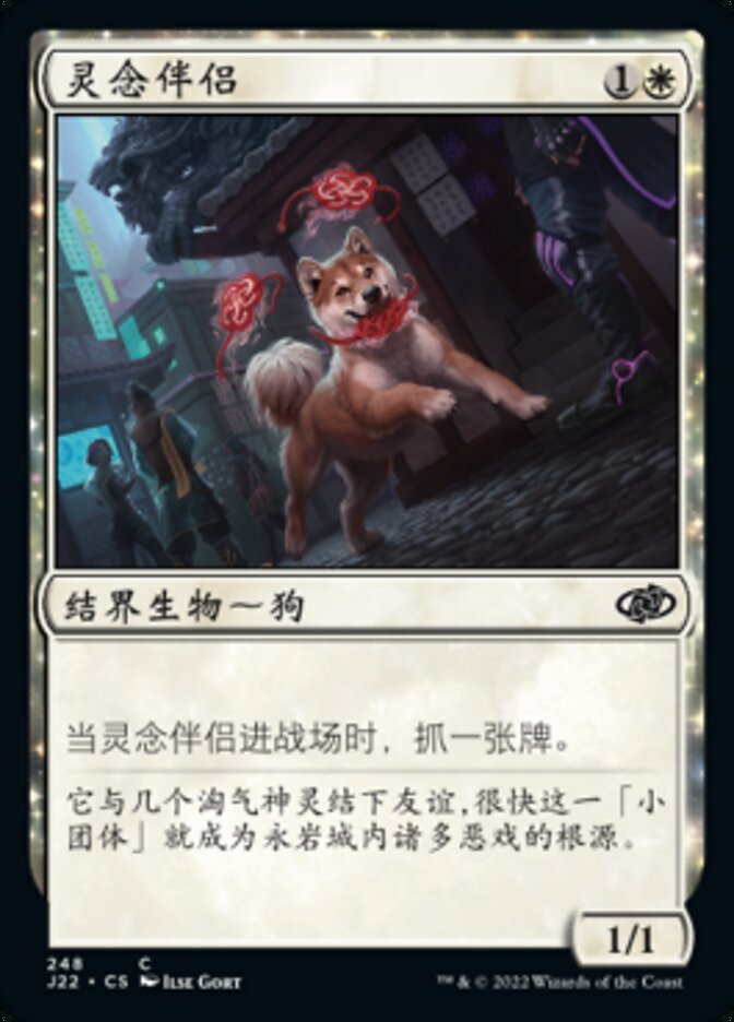 灵念伴侣