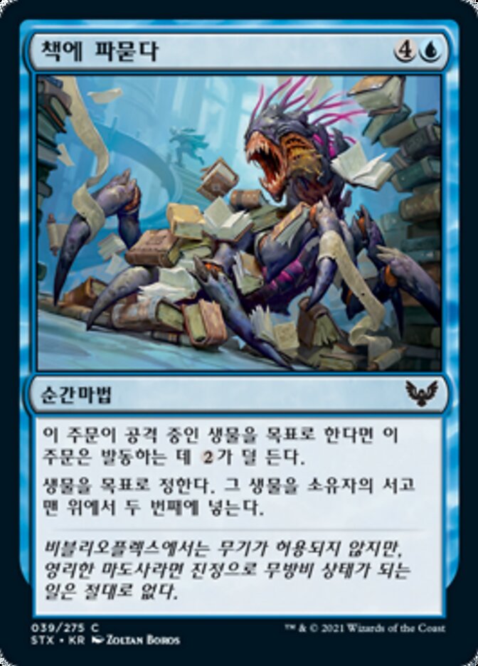 책에 파묻다