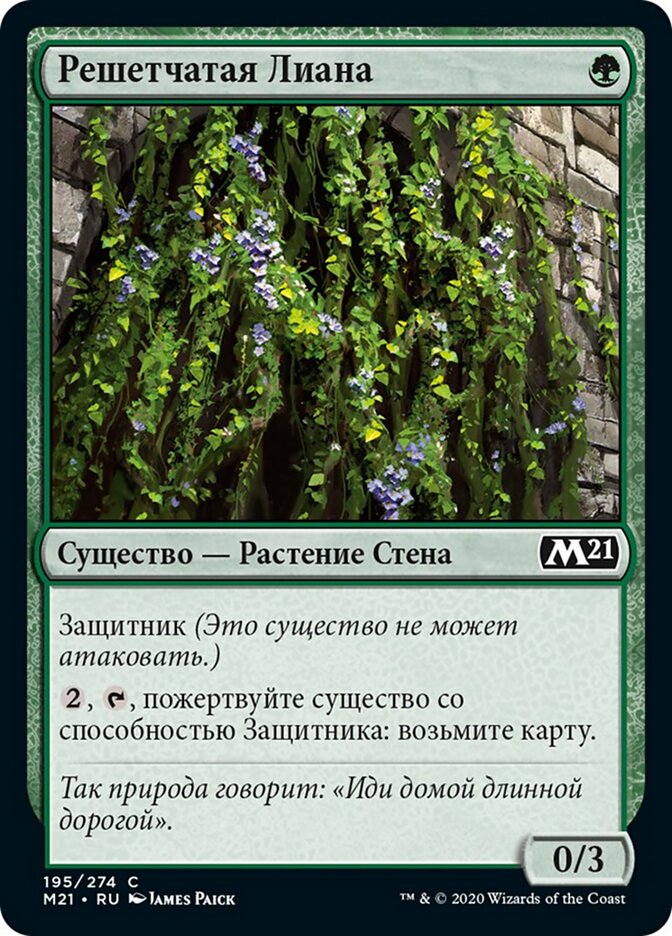Решетчатая Лиана