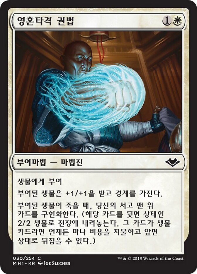 영혼타격 권법